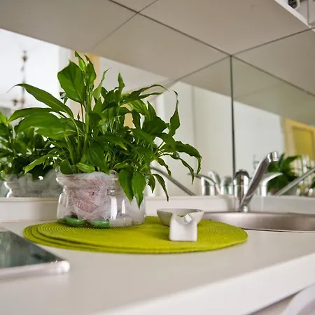 Old Town Next To The 2 アパート ドゥブロブニク